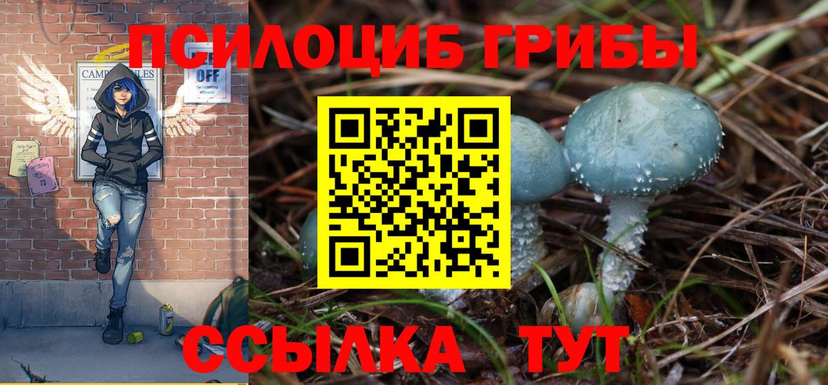 Галлюциногенные грибы мицелий Петрозаводск