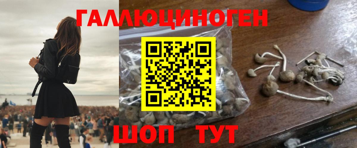Галлюциногенные грибы GOLDEN TEACHER  Псилоцибиновые грибы мухоморы  Вход с VPN  Петрозаводск 